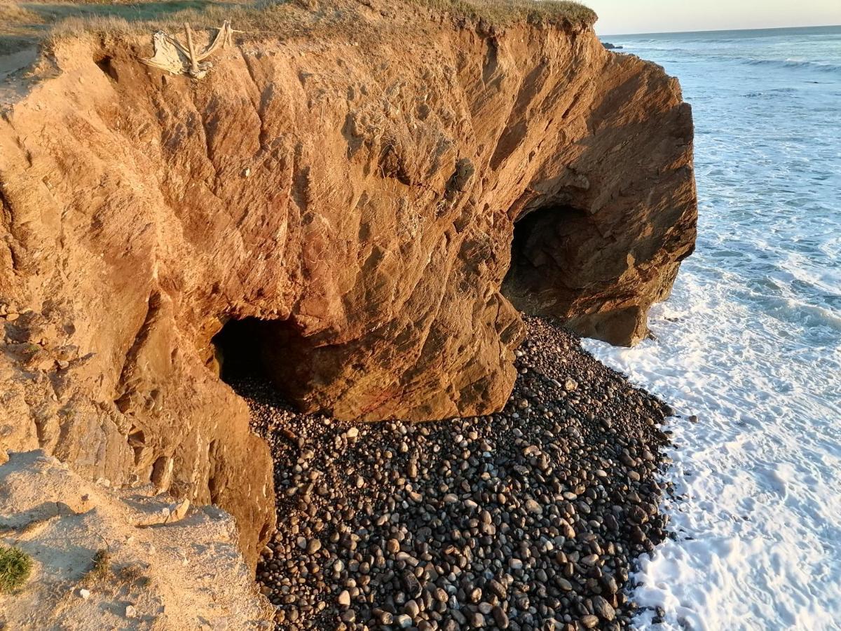 Le Cottage De Lyxie-Nature Et Sports Talmont-Saint-Hilaire Dış mekan fotoğraf