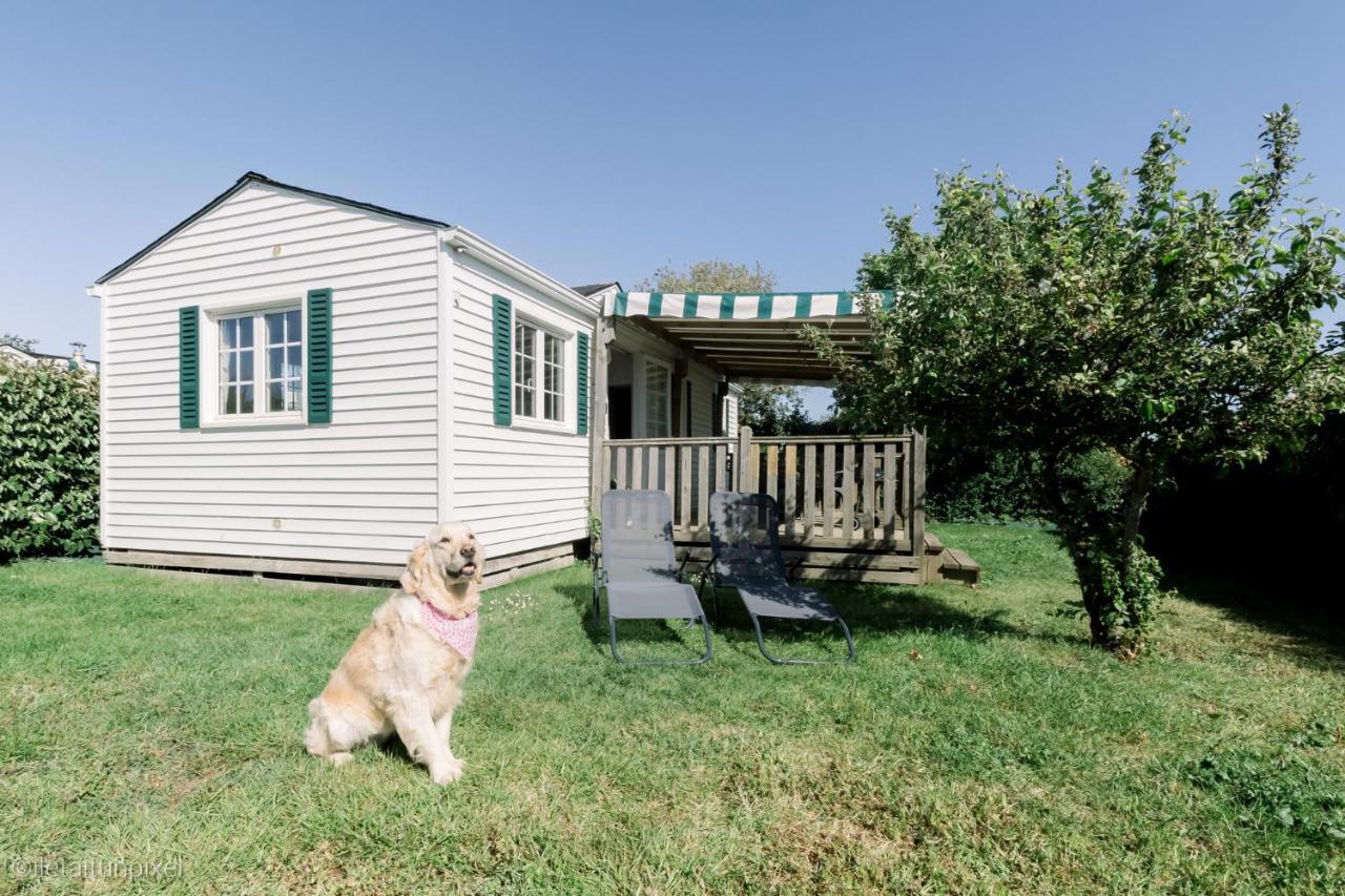 Le Cottage De Lyxie-Nature Et Sports Talmont-Saint-Hilaire Dış mekan fotoğraf